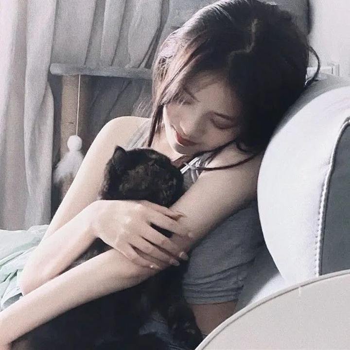 摩登仙履奇缘国语 在线观看